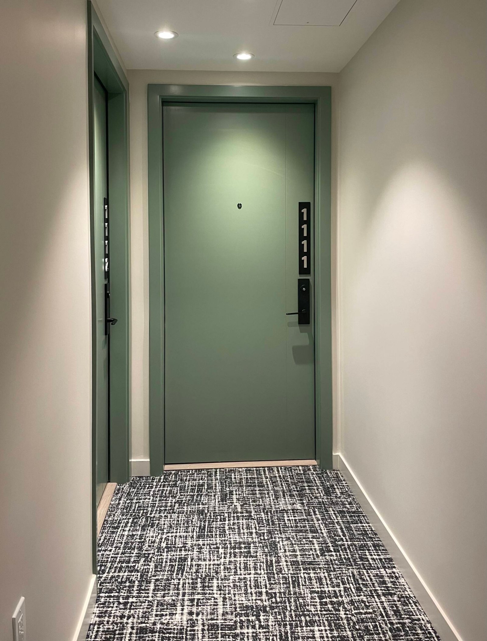 Home entryway and door painting