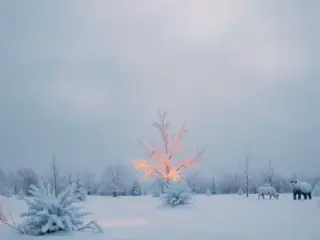 As the winter solstice approaches, it 🔗s the perfect time to think about giving your home a fresh new look. At Colour Concept, we specialize in providing expert painting services for interiors, commercial spaces, and strata properties in Canada. Our team, led by a woman, is dedicated to helping you achieve the perfect colour scheme for your space.We work with top brands to ensure that you have access#NewWestminster #LocalBusinessBC #ProfessionalPainters #ResidentialPainting #CommercialPainting #StrataPainting #QualityPainting #ColourYourWorld #PaintingExperts #LowerMainlandPainters #BCPainters #Blog